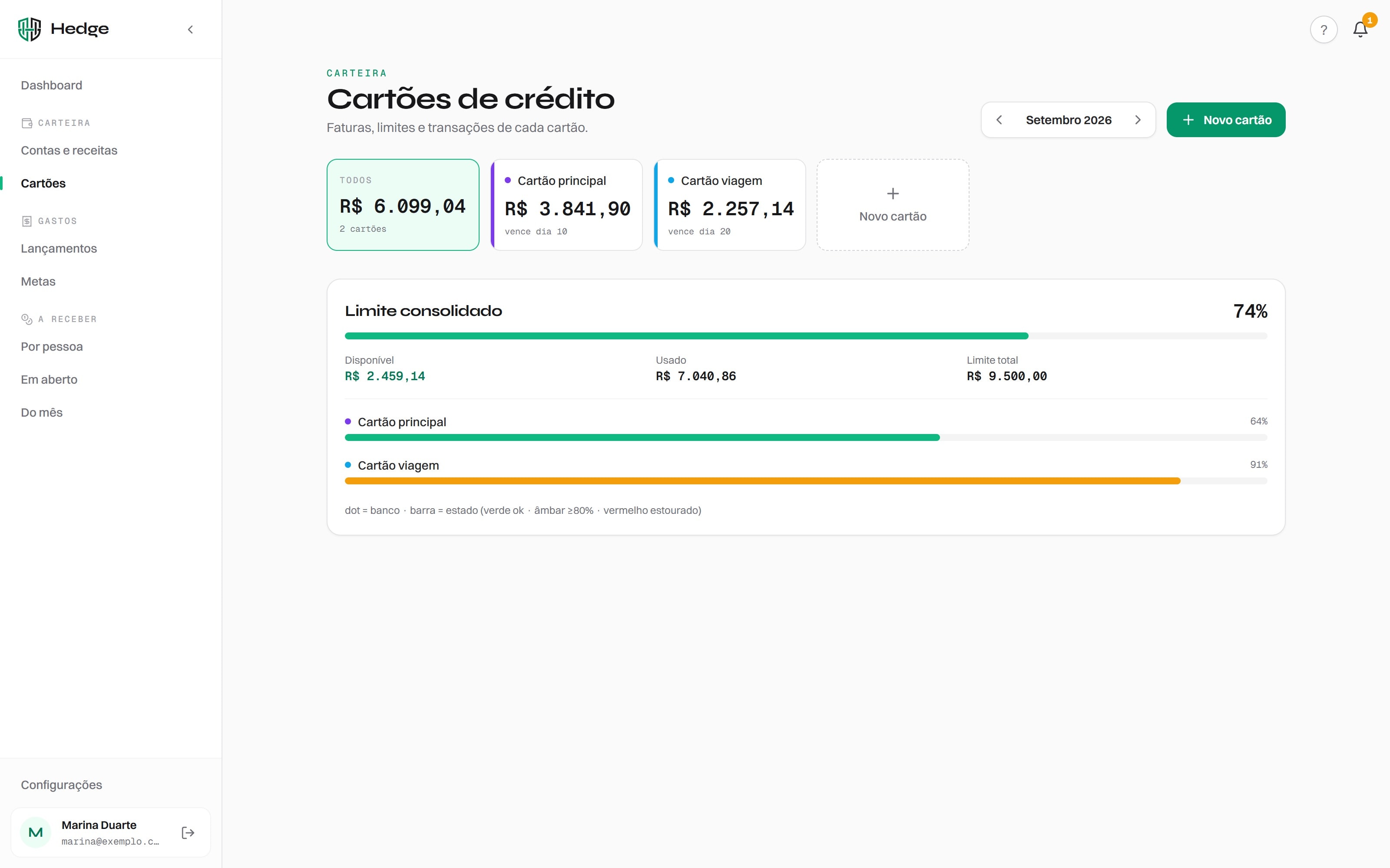 Hedge — Credit cards (demo data)