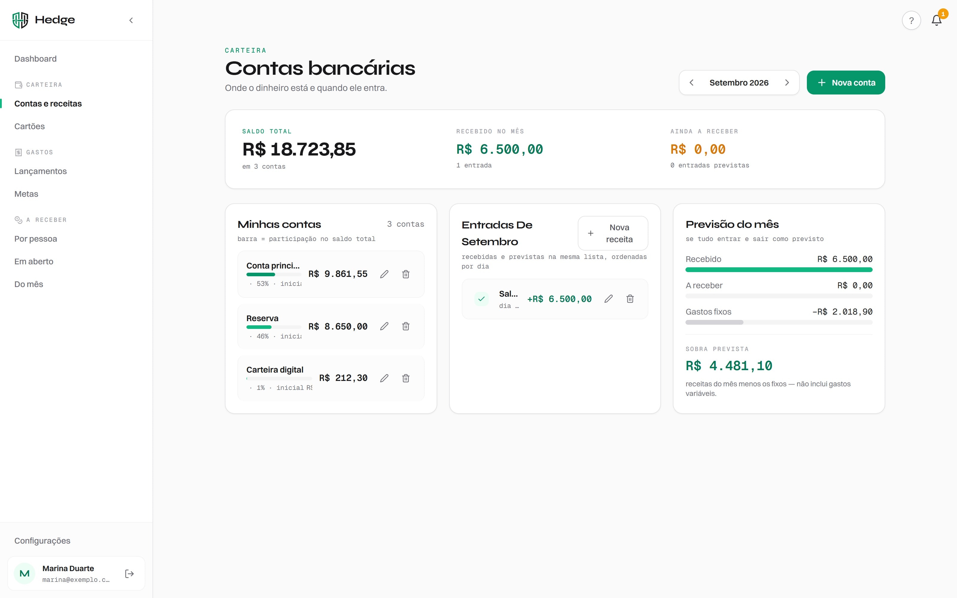 Hedge — Bank accounts (demo data)