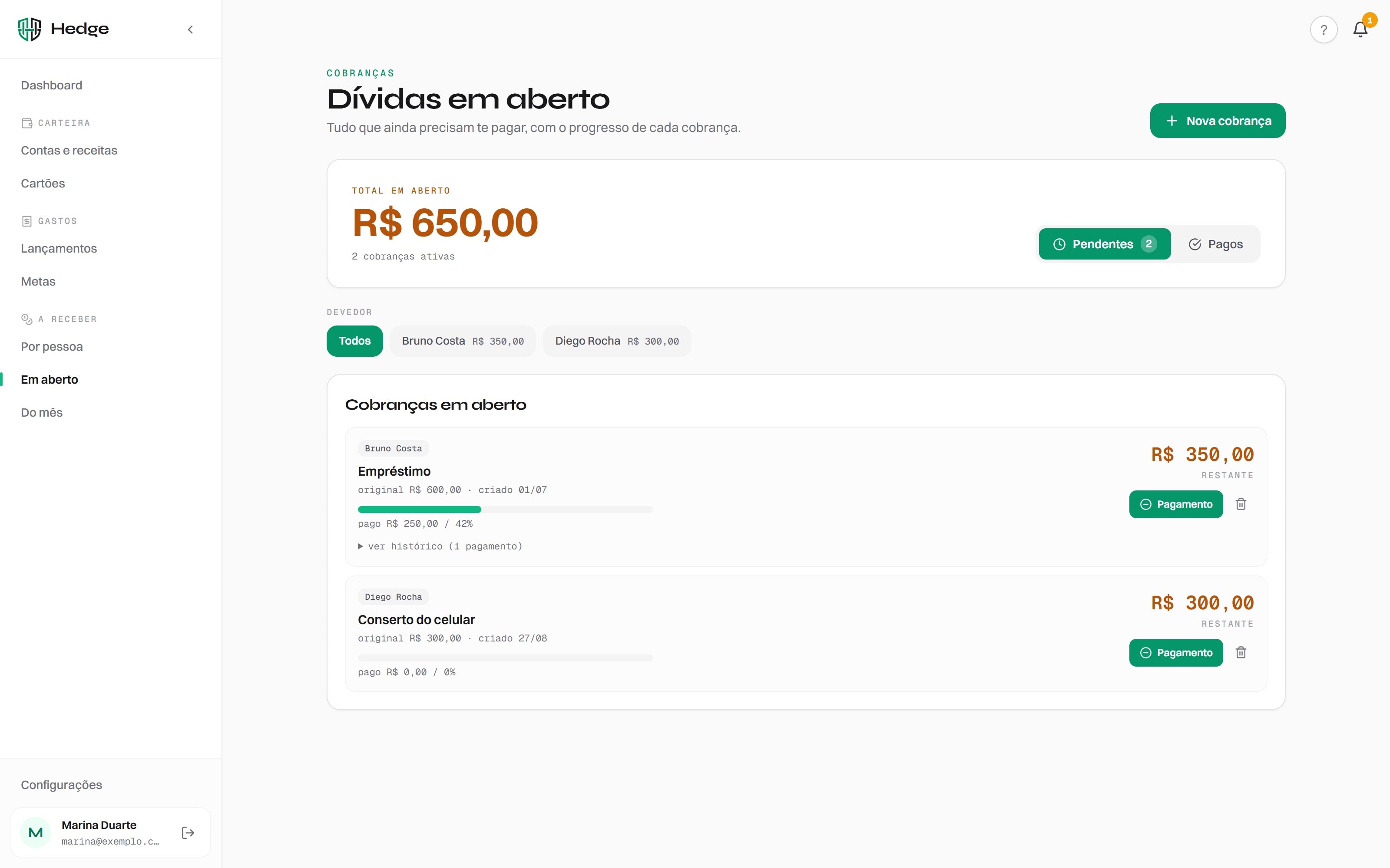 Hedge — Open debts (demo data)
